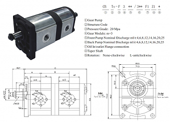 Сдвоенный шестеренный насос CBT-F316/304F1Z1