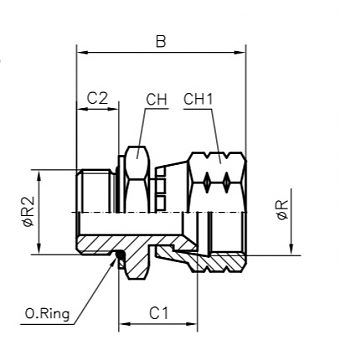 TN426-JIC 1.1/16-R 3/4"