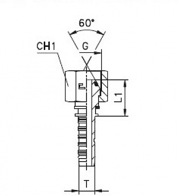 BSP 2"-11/0-24 DN38 (С) (O-RING)