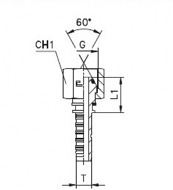 BSP 1/2"-14/0-08 DN12 (V) (O-Ring)
